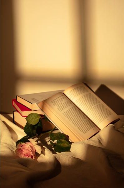 still-life-sant-jordi-day-books-roses (1)