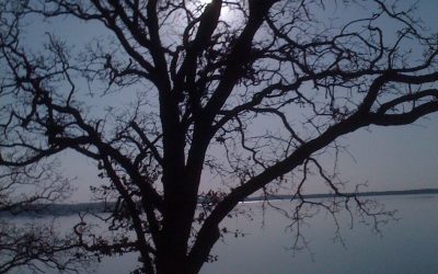 December 29, 2013 – The Starkness of Winter